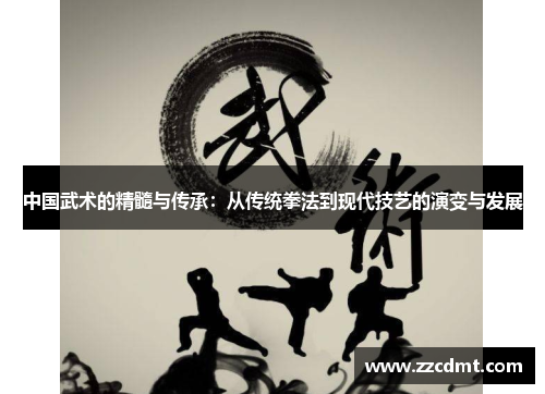 中国武术的精髓与传承：从传统拳法到现代技艺的演变与发展