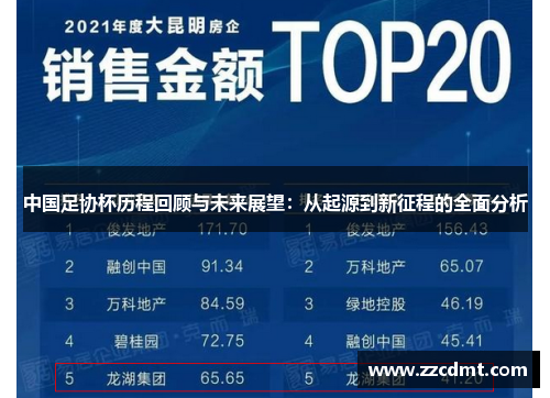 中国足协杯历程回顾与未来展望：从起源到新征程的全面分析