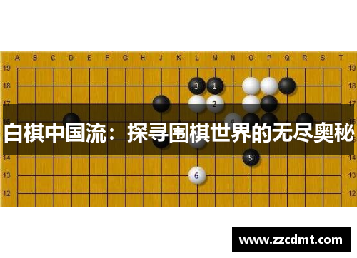 白棋中国流：探寻围棋世界的无尽奥秘
