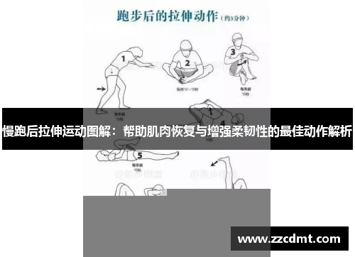 慢跑后拉伸运动图解：帮助肌肉恢复与增强柔韧性的最佳动作解析